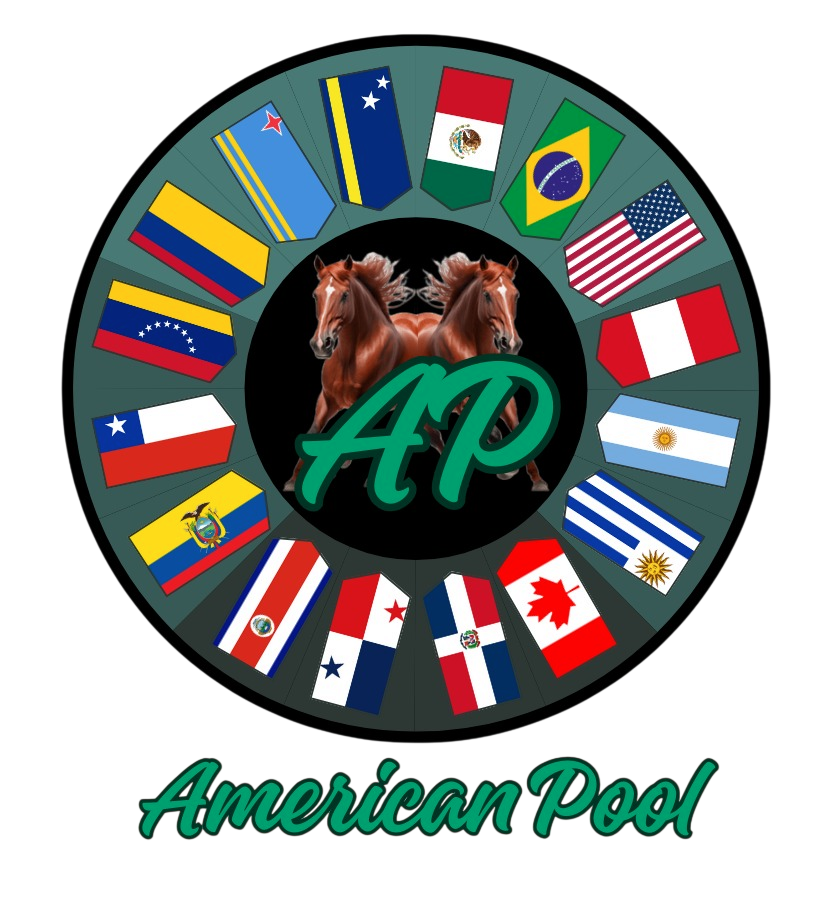 American Pool
